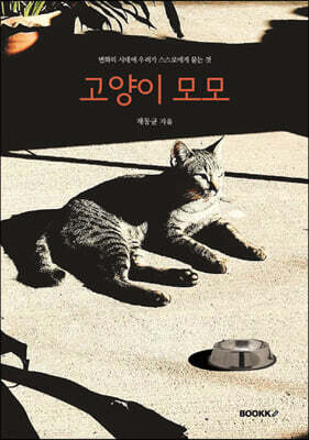 고양이 모모