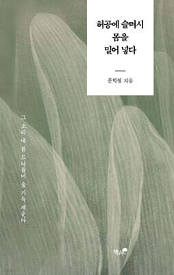 허공에 슬며시 몸을 밀어 넣다