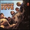 Count Five - Psychotic Reaction