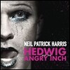 뮤지컬 헤드윅 OST - 2014 브로드웨이 닐 패트릭 버전 (Neil Patrick Harris - Hedwig and the Angry Inch) [LP]