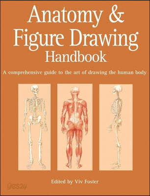 Anatomy &amp; Figure Drawing Handbook