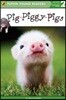 Pig-piggy-pigs