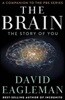 The Brain: The Story of You