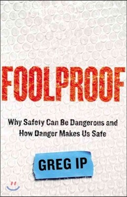 Foolproof: Why Safety Can Be Dangerous and How Danger Makes Us Safe