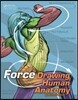 FORCE: Drawing Human Anatomy