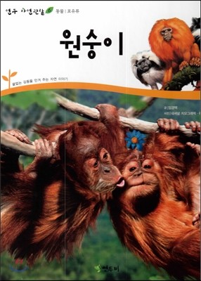 원숭이 (동물 포유류)