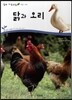 닭과 오리 (동물 조류)