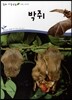 박쥐 (동물 조류)