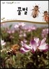 꿀벌 (동물 곤충류)