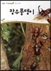 장수풍뎅이 (동물 곤충류)