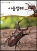 사슴벌레 (동물 곤충류)