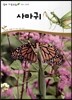 사마귀 (동물 곤충류)