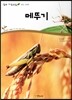 메뚜기 (동물 곤충류)