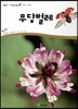 무당벌레 (동물 곤충류)