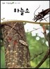 하늘소 (동물 곤충류)