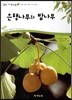 은행나무와 밤나무 (식물 겉씨식물, 속씨식물)