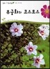무궁화와 코스모스 (식물 속씨식물)