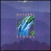 [중고] [LP] David Lanz, Paul Speer / Natural States (snpr004)