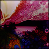Chris Robinson - Phosphorescent Harvest (LP)