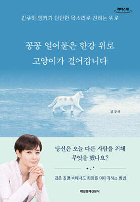 꽁꽁 얼어붙은 한강 위로 고양이가 걸어갑니다 (큰글자도서)