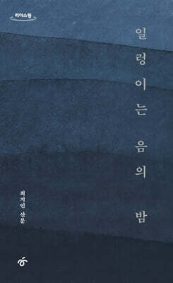 일렁이는 음의 밤 (큰글자도서)