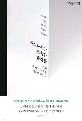 사소하지만 뾰족한 순간들 (큰글자책)