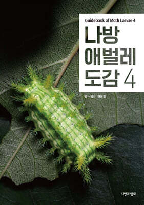 나방 애벌레 도감 4
