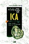이카의 돌