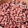 국내산 볶음땅콩 500g 2봉