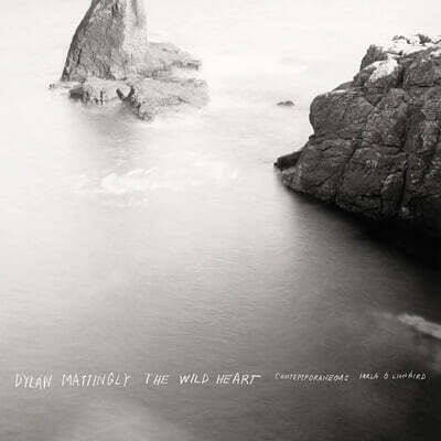 David Bloom 딜런 매팅리: 와일드 허트 (Dylan Mattingly: The Wild Heart)