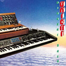 Pictured Resort (픽쳐드 리조트) - All Vacation Long [LP