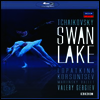 차이코프스키 : 백조의 호수 (Tchaikovsky : Swan Lake) (Blu-ray) (2008) - Ulyana Lopatkina
