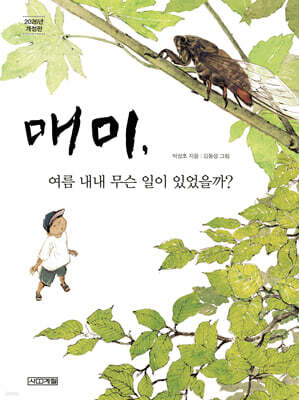 매미, 여름 내내 무슨 일이 있었을까?