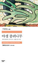 야생 종려나무