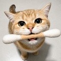 고양이 양모 면봉 장난감 15cm 캣닢 마따따비 고양이 강아지 애완견 반려묘 반려동물 용품