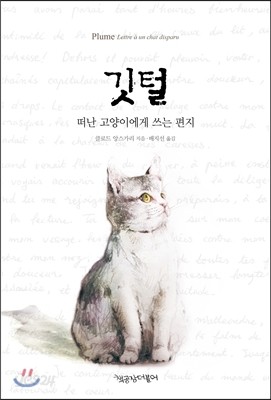 깃털 떠난 고양이에게 쓰는 편지