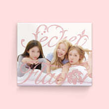 시크릿 (Secret) - Special Mini Album [Secret Flavor]