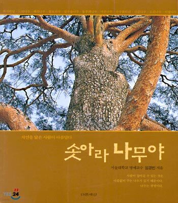 솟아라 나무야