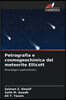 Petrografia e cosmogeochimica del meteorite Ellicott