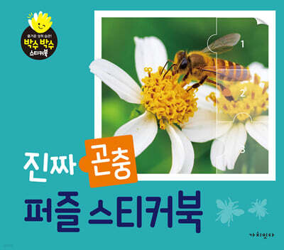 진짜 곤충 퍼즐스티커북