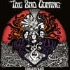 2nd COMING - Evaluations