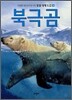 북극곰