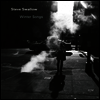 Steve Swallow - Winter Songs (CD)