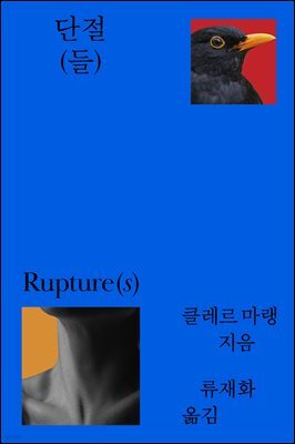 단절(들)