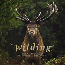 와일딩 다큐멘터리 영화음악 (Biggi Hilmars Wilding - Original Soundtrack)