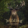 와일딩 다큐멘터리 영화음악 (Biggi Hilmars Wilding - Original Soundtrack)