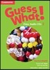 Guess What! American English Level 3