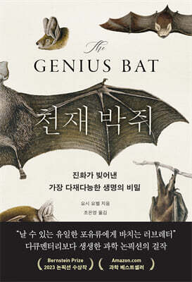 천재 박쥐