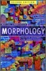Morphology
