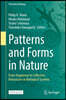 Patterns and Forms in Nature